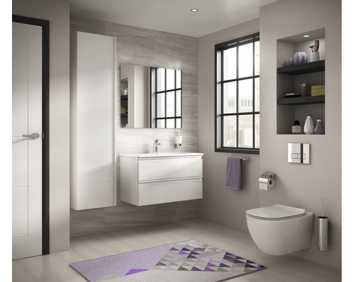 Salle de bains lumineuse avec lavabo, armoire de toilette, toilettes et étagères