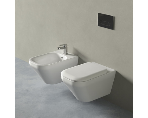 Wandhängendes WC und Bidet mit Betätigungsplatte