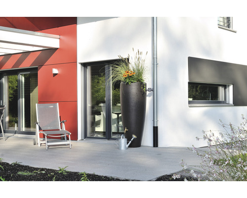 Scène avec réservoir d''eau de pluie, plantes et arrosoir sur une terrasse