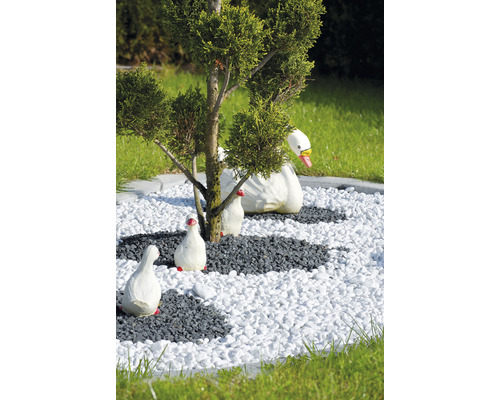 Scène de jardin avec gravier décoratif, cyprès et cygnes décoratifs