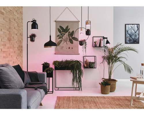 Wohnzimmer mit Sofa, Zimmerpflanzen und Beleuchtungselementen