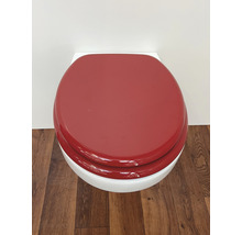 Toilettensitz mit Deckel