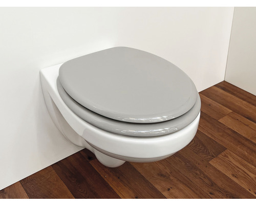 WC suspendu avec siège de toilette