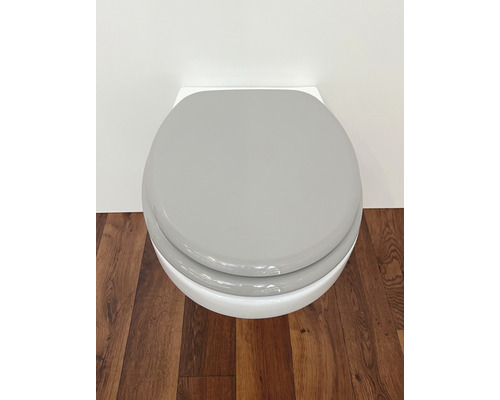 WC suspendu avec siège de toilette gris sur plancher en bois