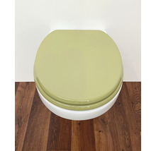 Toilette avec couvercle fermé