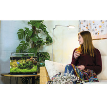 Salon avec aquarium, lampadaire et plante d''intérieur à côté d''une femme sur un canapé
