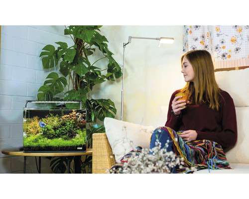 Wohnzimmer mit Aquarium, Stehlampe und Zimmerpflanze neben einer Frau auf einem Sofa