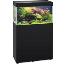 Combinaison aquarium avec meuble bas, planté et éclairé