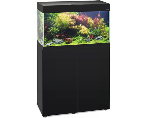 Combinaison aquarium avec meuble bas, planté et éclairé