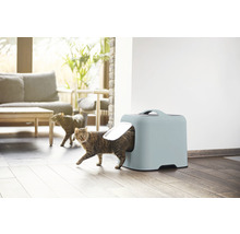 Katze verlässt Katzentoilette in einem hellen Wohnraum