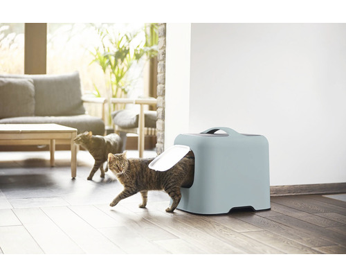 Katze verlässt Katzentoilette in einem hellen Wohnraum