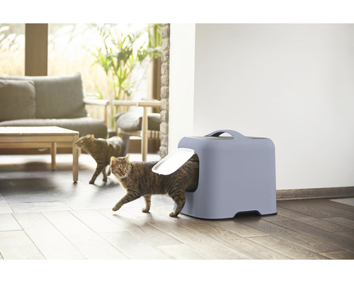 Katze verlässt eine geschlossene Katzentoilette in einem Wohnraum.