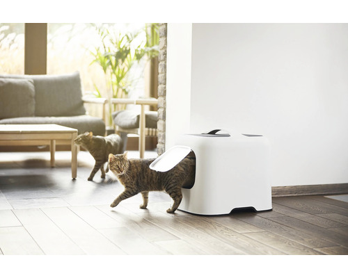 Katze verlässt Katzentoilette in heller Wohnumgebung