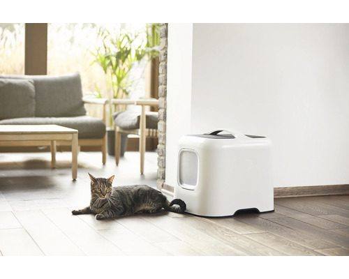 Katze liegt neben Katzentoilette im Innenraum