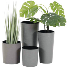 Quatre cache-pots gris avec plantes