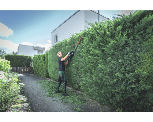 Une personne taille une haute haie verte avec un taille-haie dans un jardin.