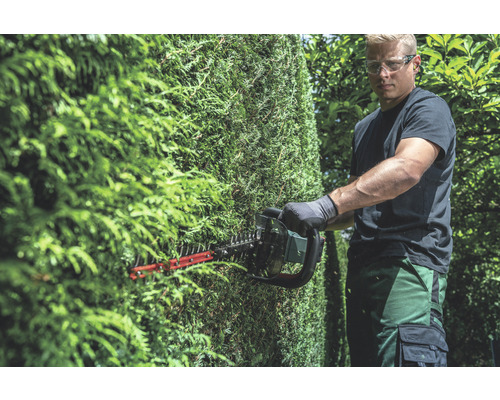 Homme taillant une haie avec un taille-haie