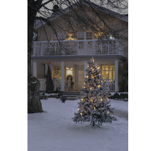 Winterszene mit beleuchtetem Weihnachtsbaum vor einem Haus