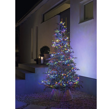 Sapin de Noël avec guirlande multicolore à l''extérieur