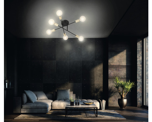 Wohnzimmer mit moderner Deckenleuchte, Sofa, Couchtisch und Zimmerpflanze