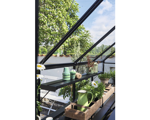 Vue intérieure d''une serre avec des étagères contenant des plantes et des décorations
