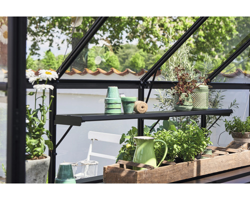 Intérieur de serre avec étagères, pots et plantes