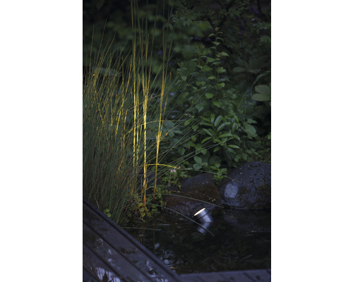Dekorative Gartenbeleuchtung beleuchtet Gräser am Teich