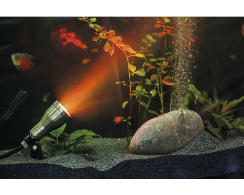 Aquarium mit Wasserpflanzen, Fischen und einer Aquarienleuchte