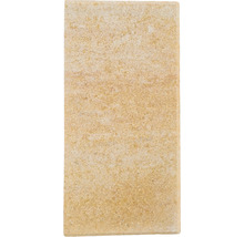 Dalle de terrasse en béton iStone Alive grès 40 x 20 x 4 cm