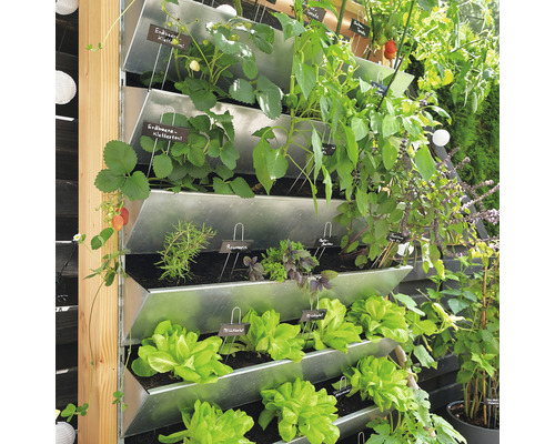 Jardin vertical avec fraises, herbes aromatiques et laitue dans des jardinières