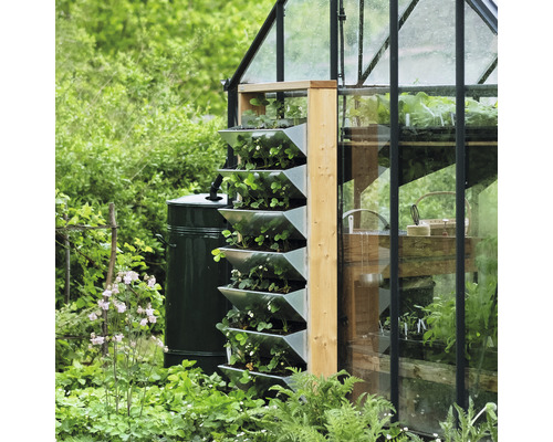 Jardin vertical avec des fraises à côté d''une serre et d''un récupérateur d''eau de pluie.
