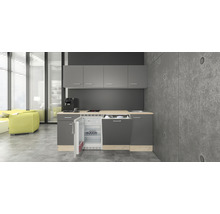Komplette Küchenzeile mit Spüle, Geschirrspüler und Kühlschrank in einem hellen Raum