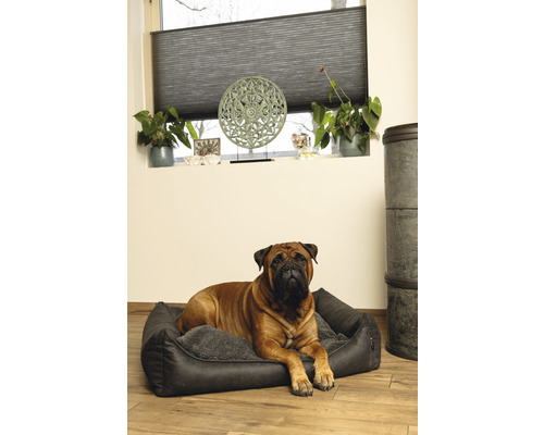 Ein Hund liegt in einem Hundebett in einem hellen Raum.