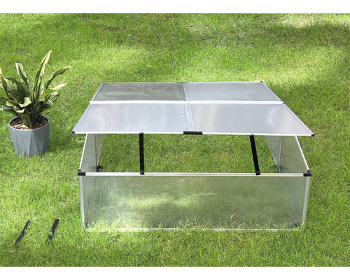 Petite serre avec plante sur pelouse