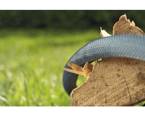 Blauer Wasserschlauch auf Holz