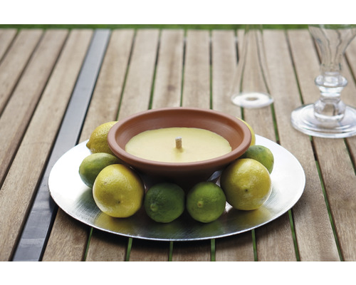 Dekorative Zitronenkerze in Schale auf einem Tisch