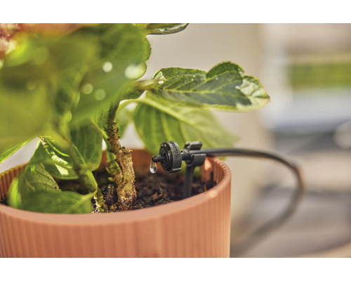 Arrosage goutte à goutte dans un pot de fleurs pour l''arrosage du jardin