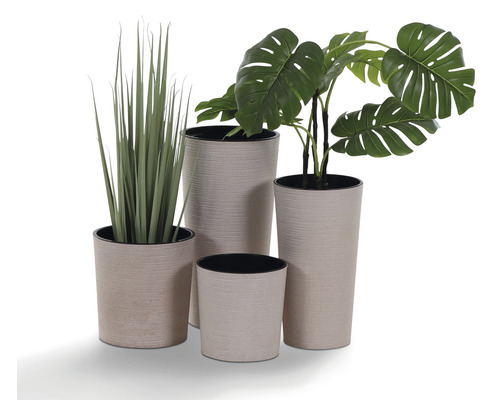 Arrangement de quatre pots de fleurs avec des plantes