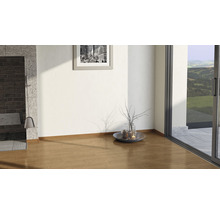 Pièce lumineuse avec parquet, cheminée, décoration et porte-fenêtre