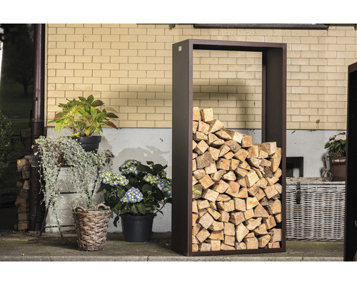 Étagère à bois avec bois de chauffage empilé et plantes dans le jardin