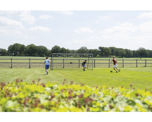 Match de football avec but sur une pelouse