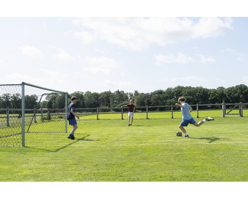 Trois enfants jouent au football sur une pelouse avec un but de football.