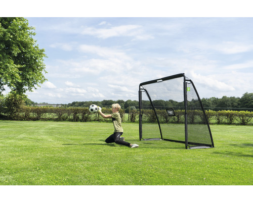 Scène d''extérieur avec un but de foot et un gardien de but attrapant un ballon sur une pelouse.