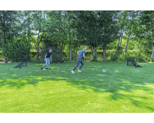 Zwei Personen spielen mit einem Ball auf einer grünen Wiese mit zwei Fussballtoren.