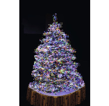 Sapin de Noël décoré avec des lumières multicolores et un support en tronc d''arbre