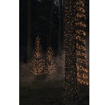 Bäume im Wald mit Lichterketten und Baum-Lichterketten