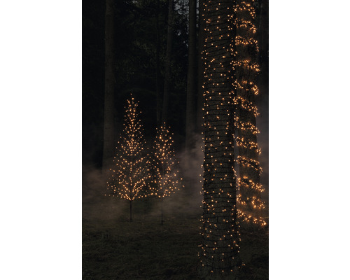 Bäume im Wald mit Lichterketten und Baum-Lichterketten