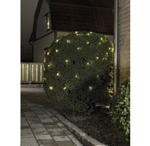 Buisson illuminé avec guirlande lumineuse dans le jardin.