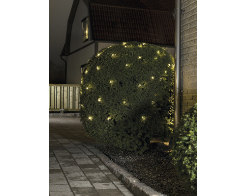 Buisson illuminé avec guirlande lumineuse dans le jardin.