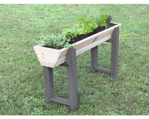 Jardinière surélevée en bois avec diverses herbes et plantes.